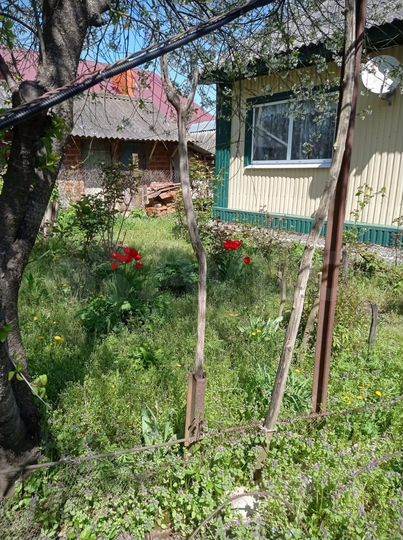 Дом 50,1 м² на участке 11 сот.