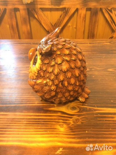 Сова садовая