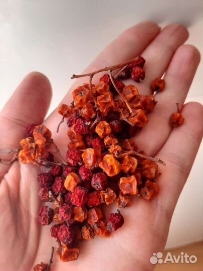 Травы лечебные