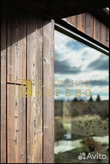 Забор из Каменного Дерева