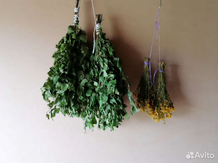 Березовые веники