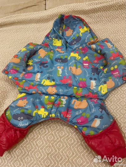 Амуниция для собак мелких пород