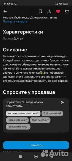 Рыжик выживает