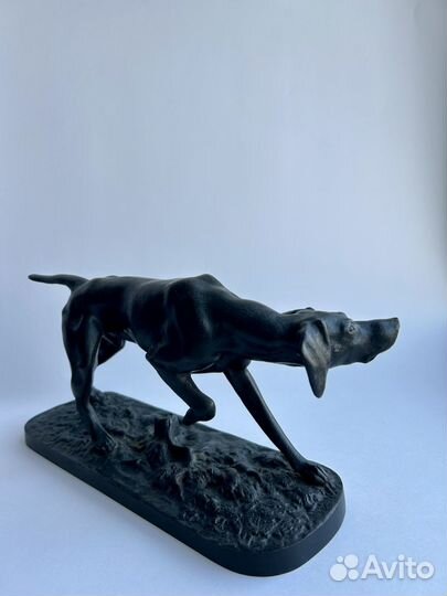 Собака пойнтер куса 1955 год