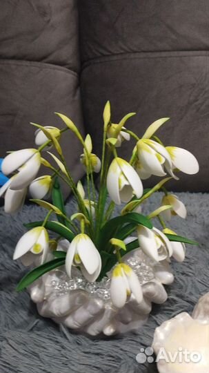 Подснежники ночник