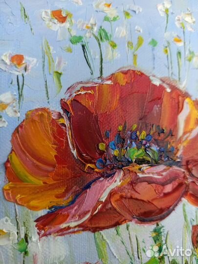 Цветы маки ромашки картина маслом на холсте 30х40