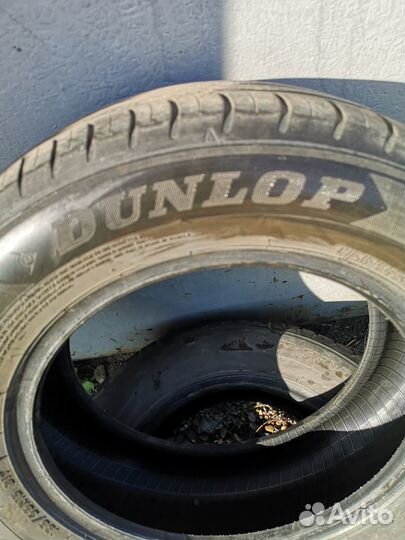 Dunlop All Season Maxx AS1 195/65 R15