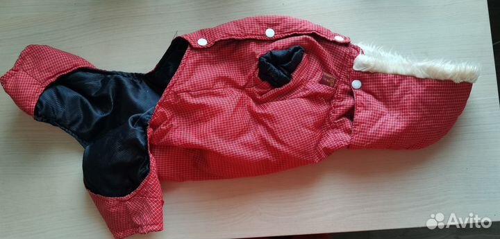 Костюм для маленькой собачки