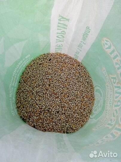 Горох кормовой цельный в мешках 30 кг