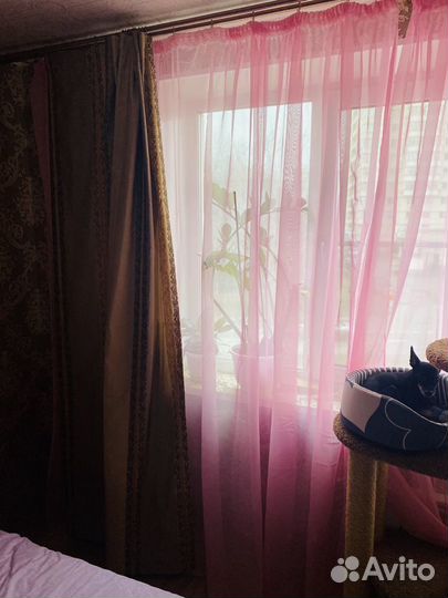 Шторы и тюль arya
