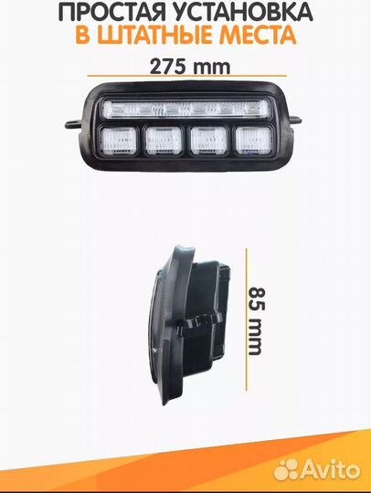 Надфарники нива