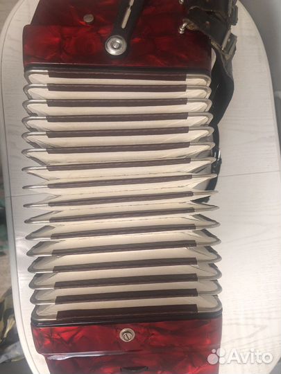 Аккордеон royal standart montana