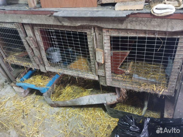 Клетка для кролика