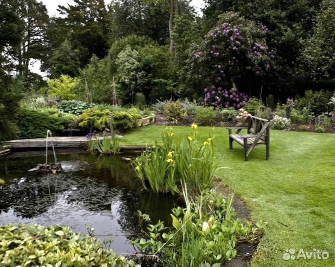 Газон под ключ. Озеленение участка