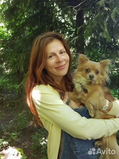 Передержка животных, зооняня, зоотакси, выгул