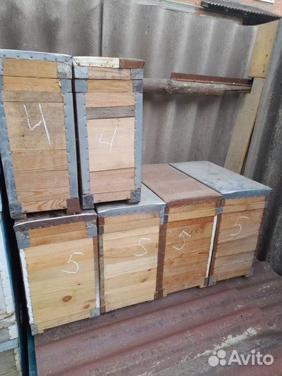 Продам ульи, нуклеусы
