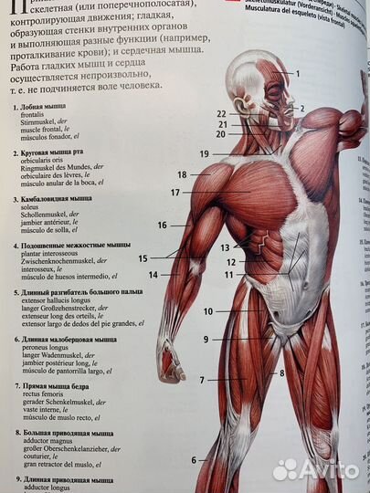 Словарь английский,немецкий,французский,испанский