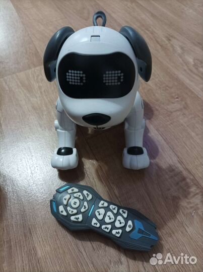 Собака на пульте управления робот