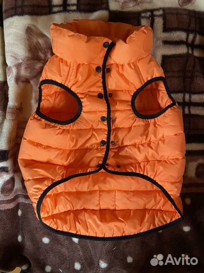 Куртка для собак