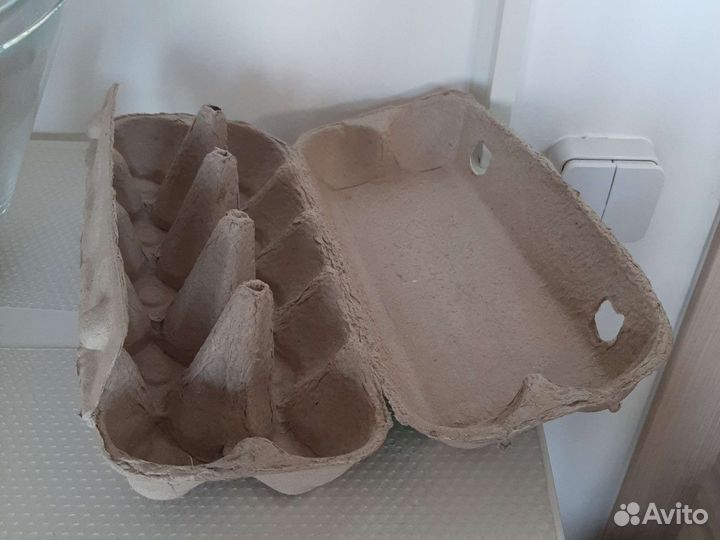 Ячейки для яиц коробки контейнер