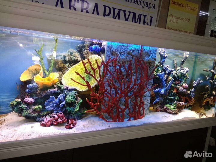 Аквриумы, тумбы, светильники для аквариумов