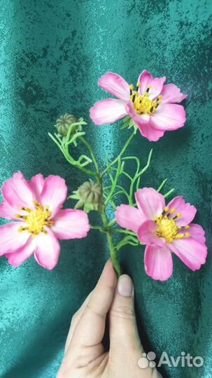 Космеи букет. Цветы из холодного фарфора