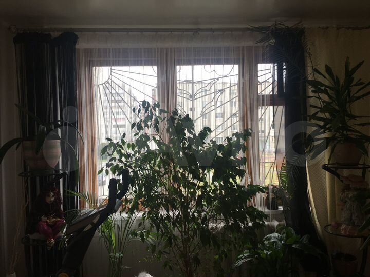 3-к. квартира, 67 м², 2/9 эт.
