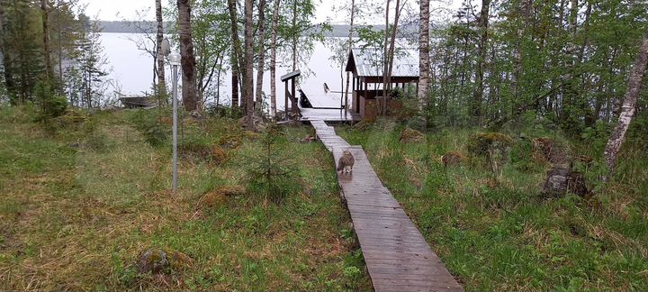 Дом 90 м² на участке 50 сот.