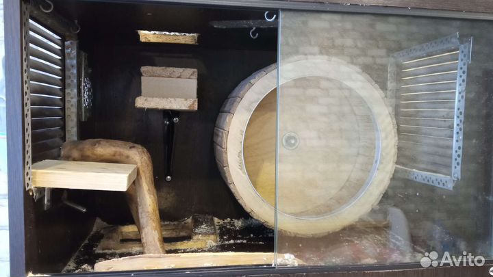 Витрина Клетка для грызунов бу