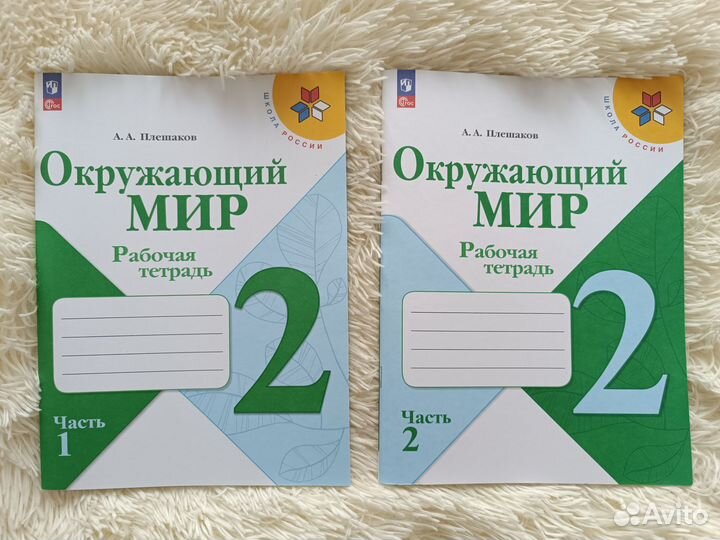 Рабочие тетради 2кл Плешаков