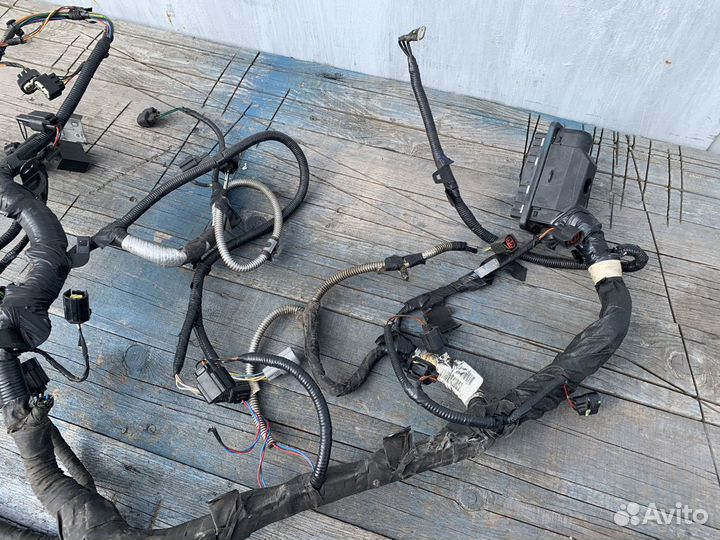 Проводка двигателя jaguar x-type 2.5 v6