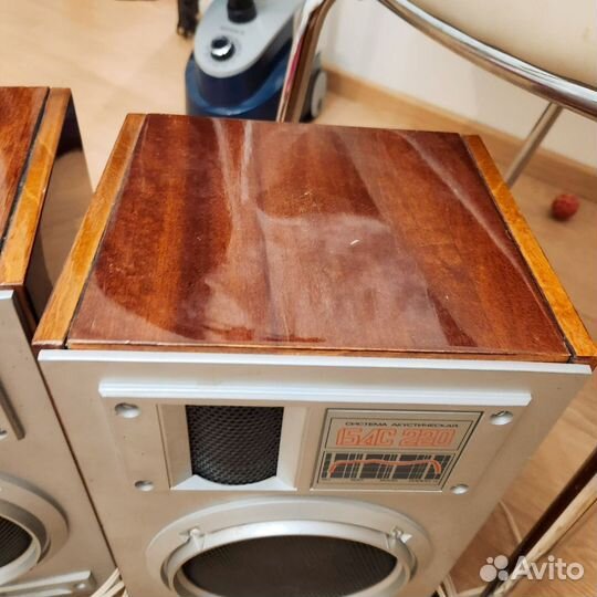 Музыкальные колонки 15AC220