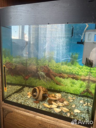 Аквариум с рыбками
