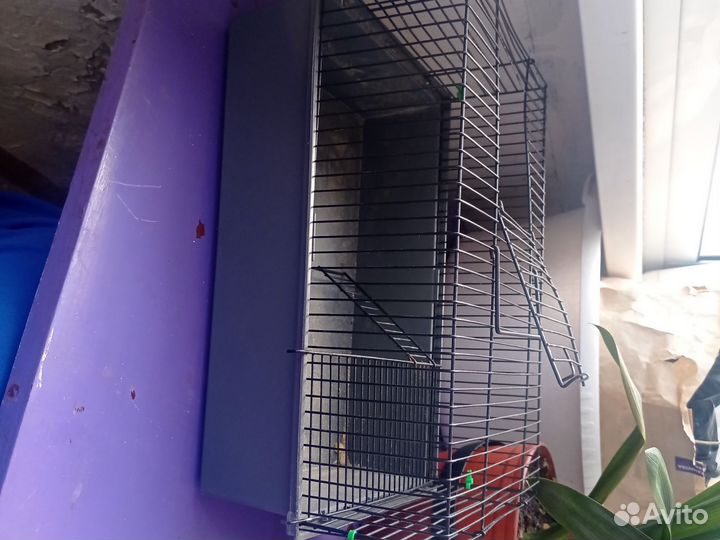 Клетка для хомяка с колесом и мисками