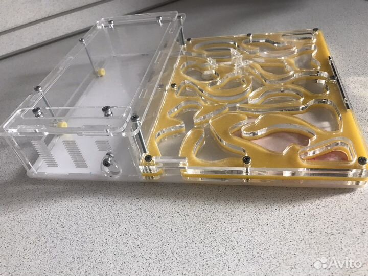 Муравьиная ферма бу