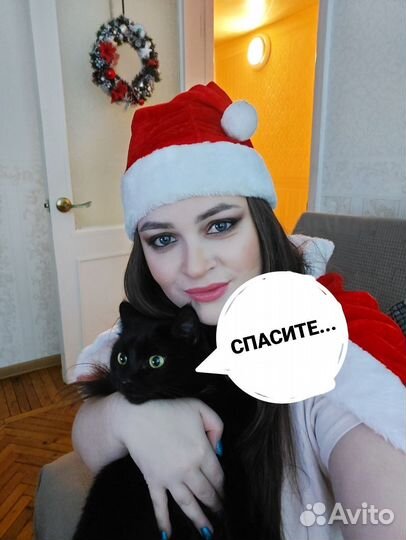 Котоняня, кэтситтер, няня для вашего котика