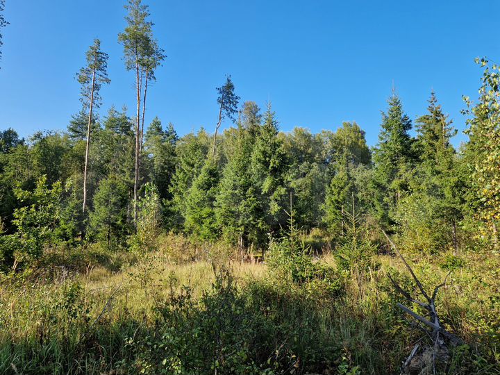 Участок 21 сот. (ИЖС)