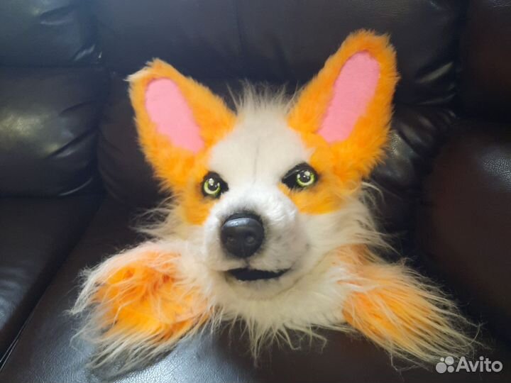 Фурсьют корги