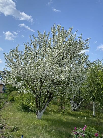 Дача 40 м² на участке 13 сот.