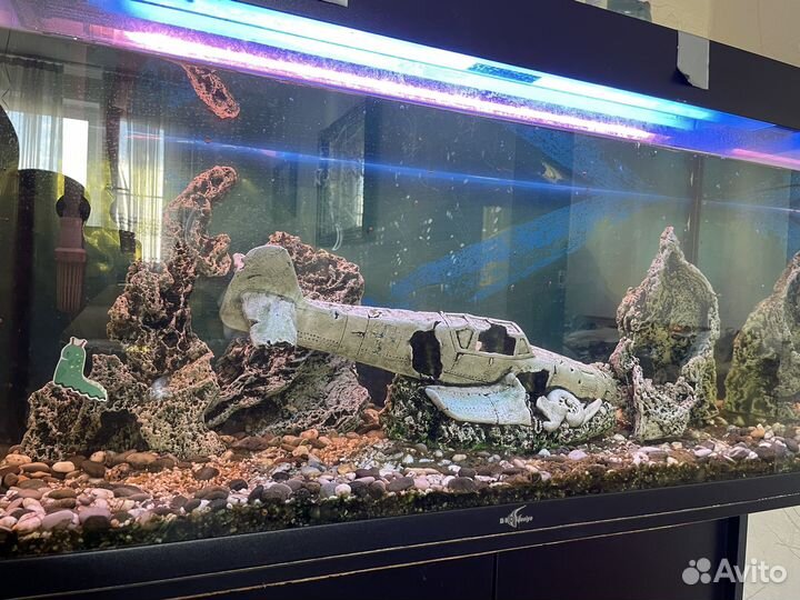 Аквариум Biodesign 185л