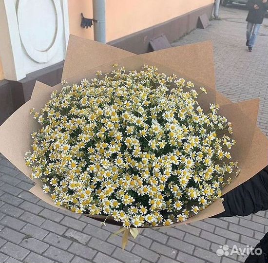Ромашки Букет из ромашек доставка