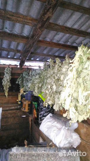 Веники дубовые для бани