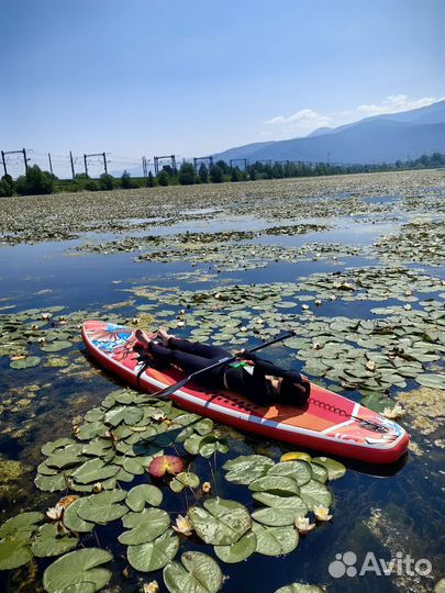 Сплавы на sup борде
