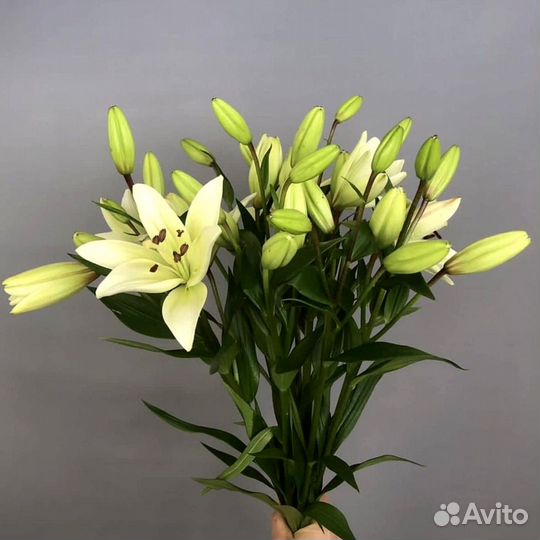 Букет из лилий