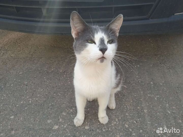 В поисках мамы