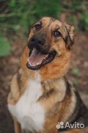 Кто потерял своего Ангела