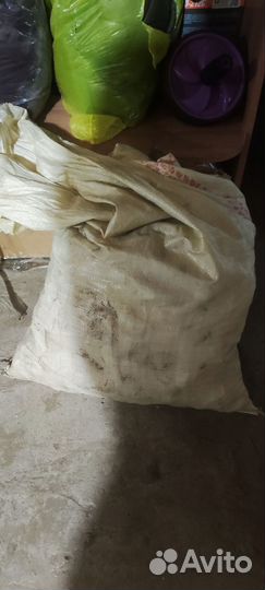 Картофель на корм животным