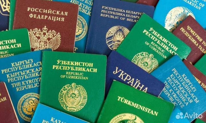 Заявления РВП, ВНЖ, Гражданство РФ