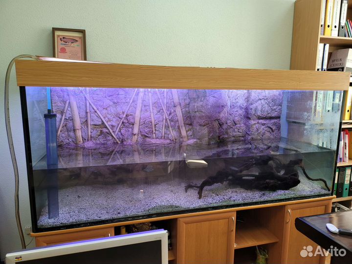 Аквариум на 1000 литров