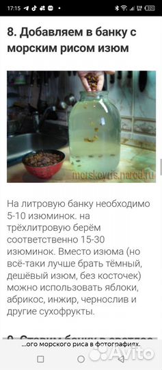 Индийский морской рис, рисовый гриб, водный кефир